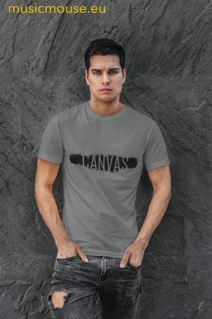 Camiseta gris CANVAS